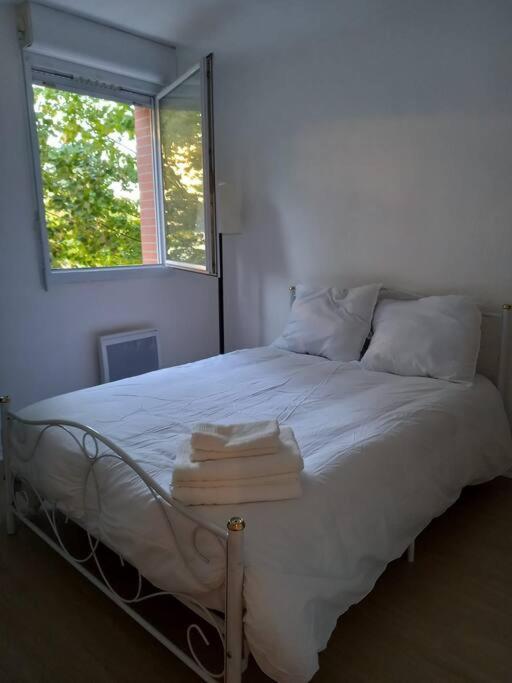 Appartement Cosy Cugnaux Dış mekan fotoğraf